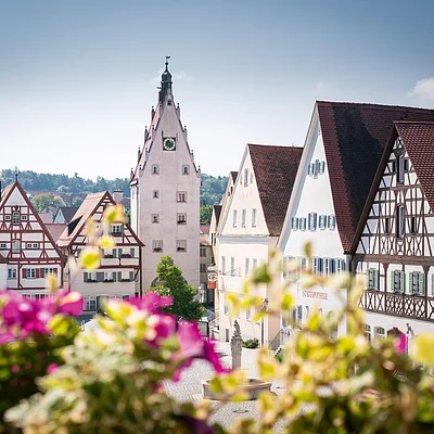 Blick auf Fachwerkhäuser und einen Turm mit Uhr in einer deutschen Kleinstadt, Blumen im Vordergrund.