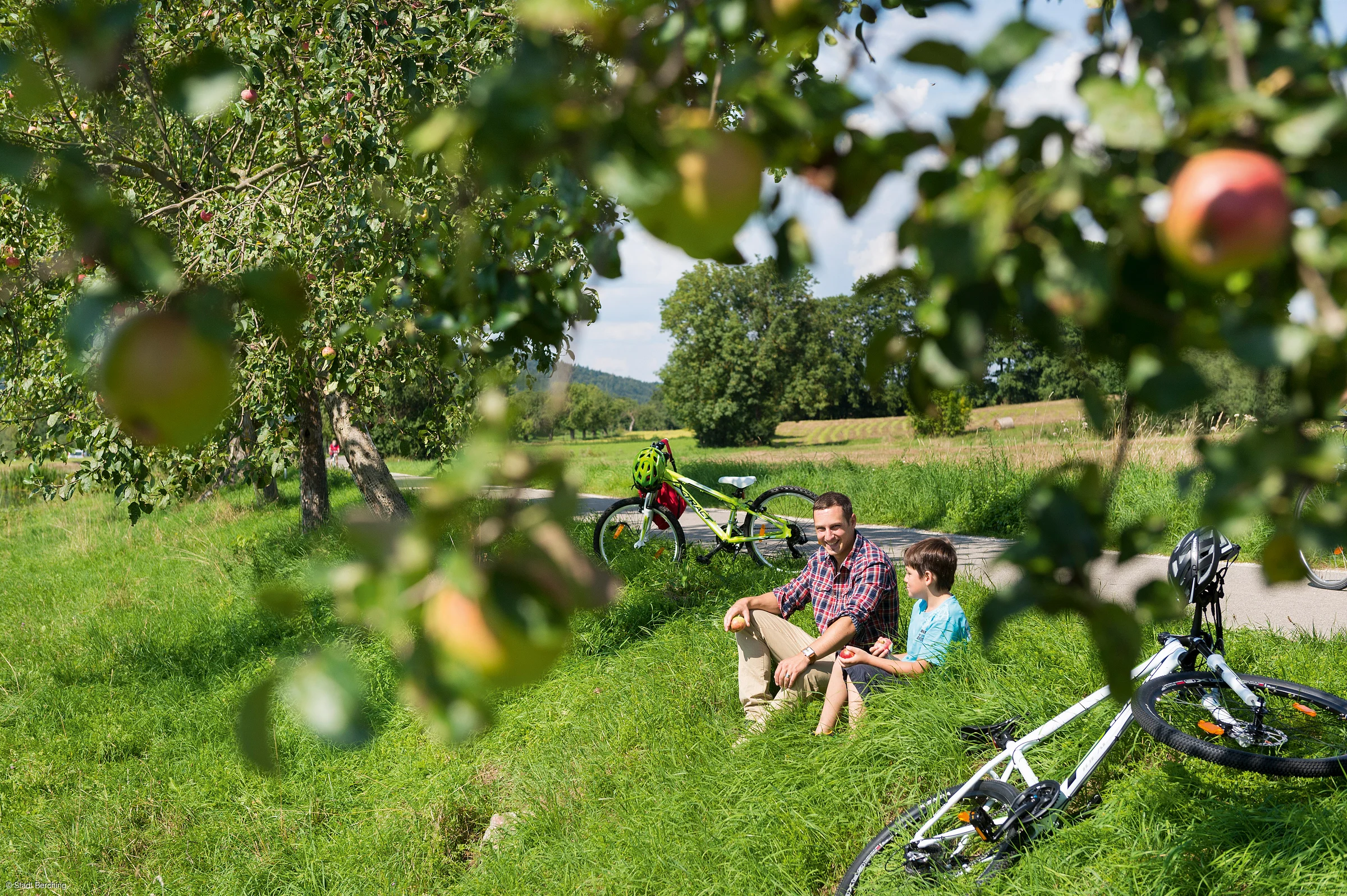 Mann und Kind sitzen auf einer Wiese unter einem Apfelbaum, Fahrräder daneben.