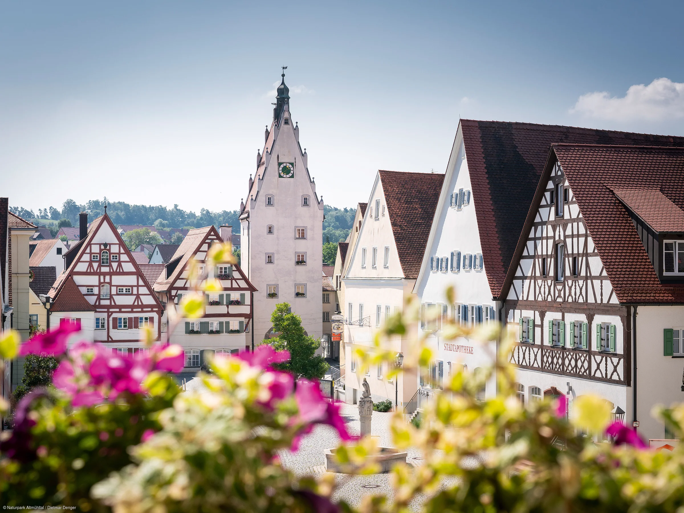Blick auf Fachwerkhäuser und einen Turm mit Uhr in einer deutschen Kleinstadt, Blumen im Vordergrund.