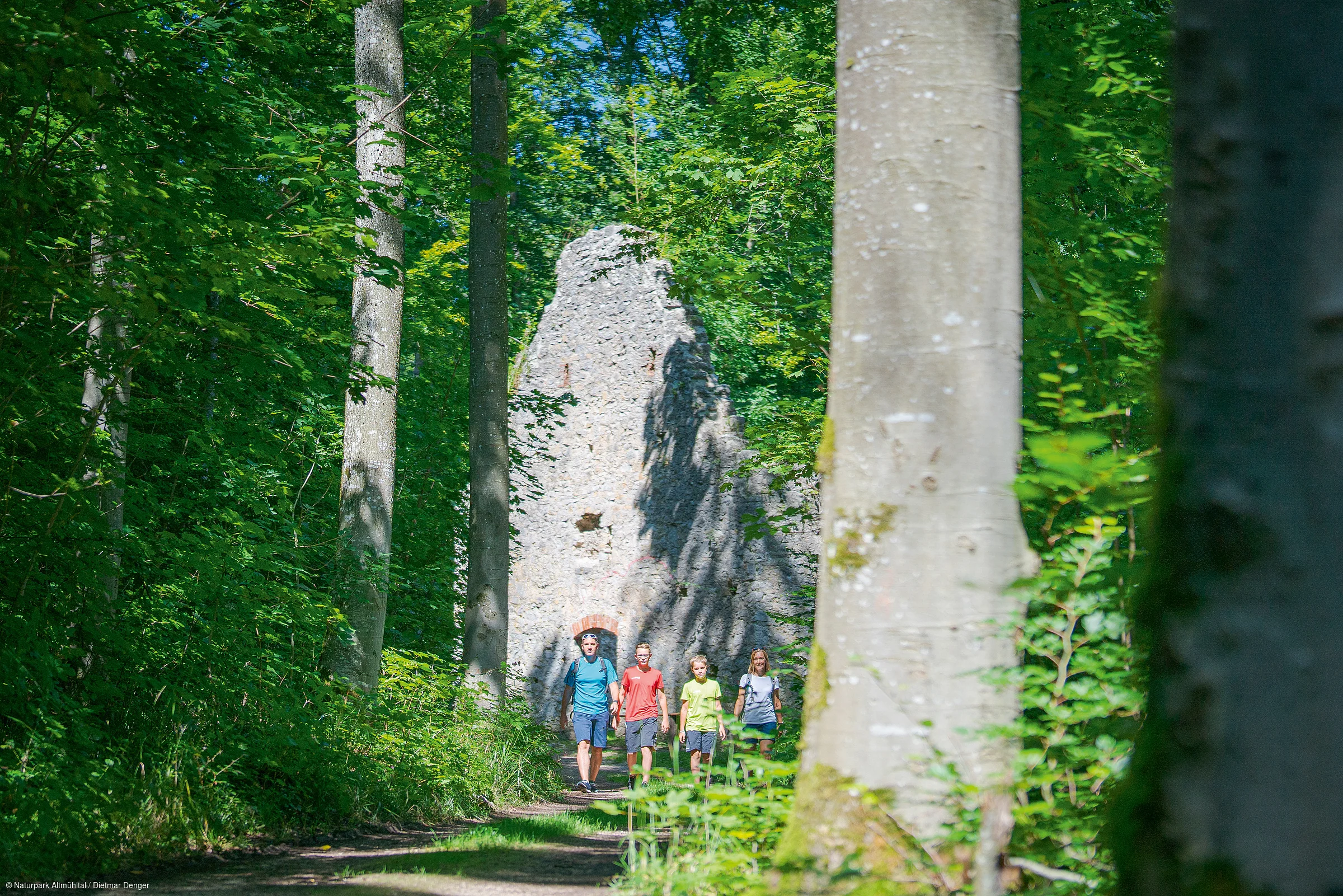 Vier Personen wandern auf Waldweg vor einer alten Steinruine, umgeben von grünen Bäumen.