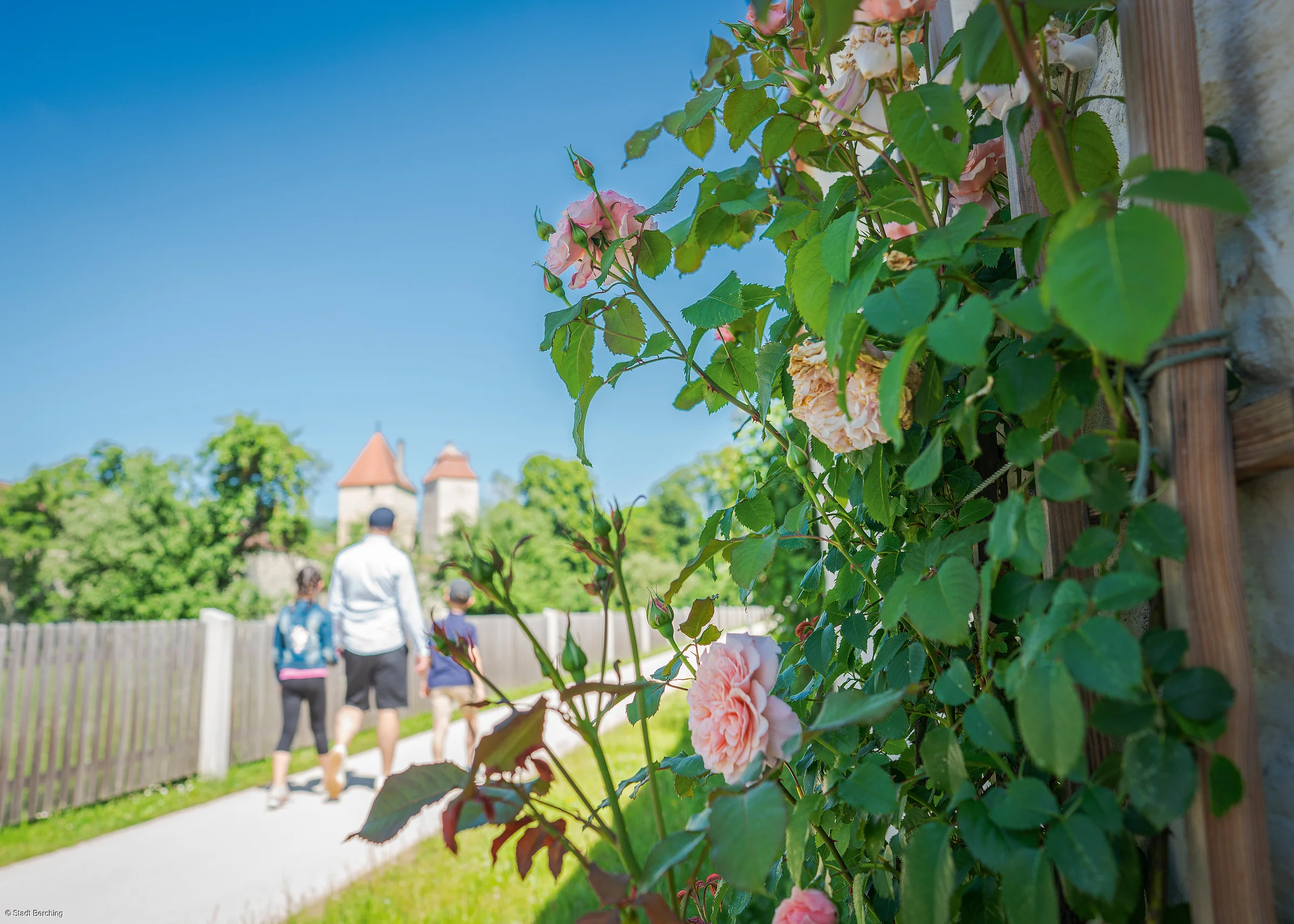 Rosenstrauch im Vordergrund, Personen auf einem Weg, im Hintergrund ein Gebäude mit Türmen.
