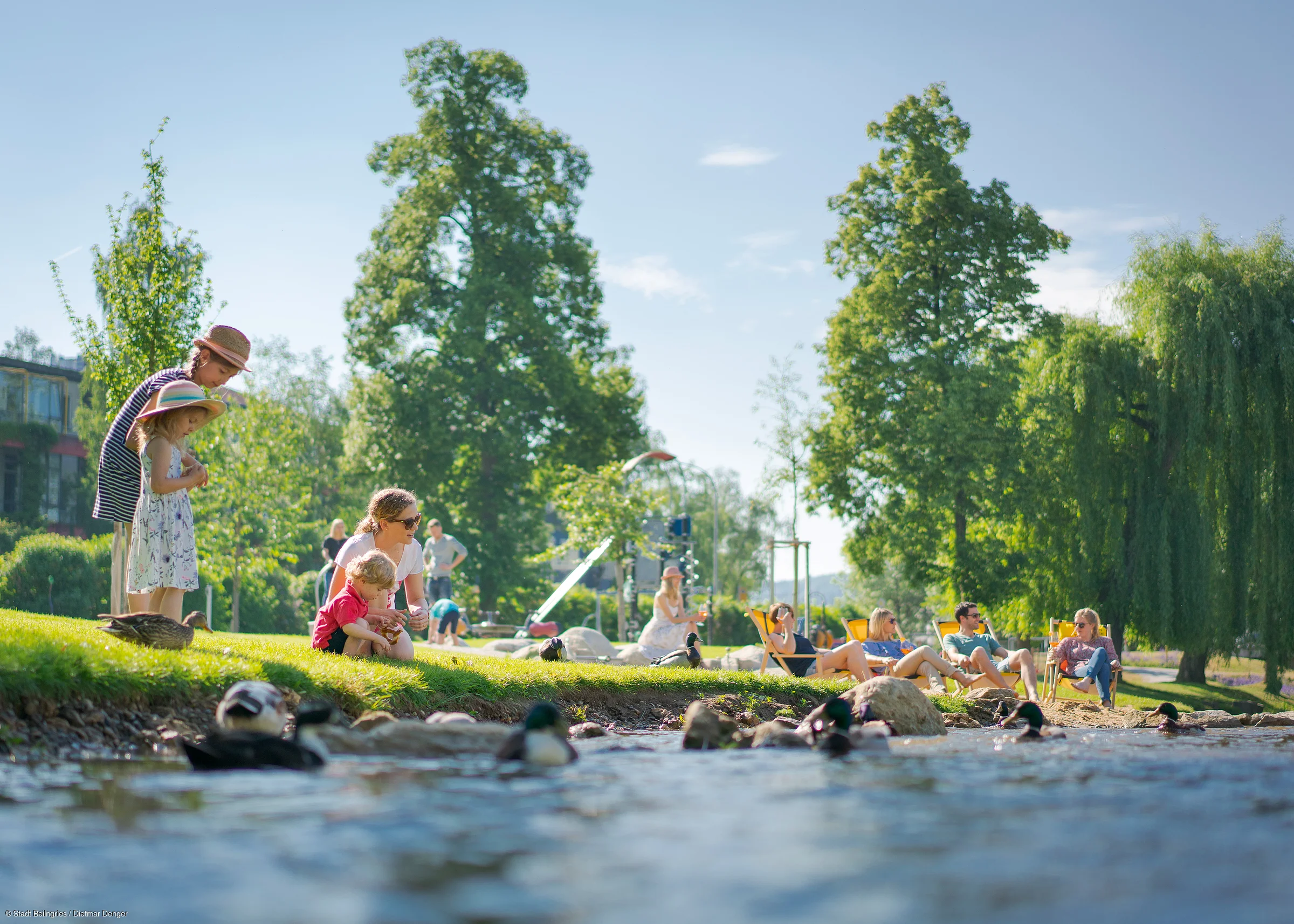 Menschen entspannen auf einer Wiese an einem Flussufer, umgeben von Bäumen und Enten.