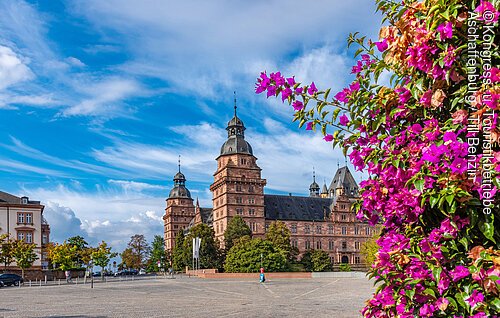 Historisches Schloss mit Türmen bei blauem Himmel, rechts im Vordergrund pinke Blüten an einem Strauch.