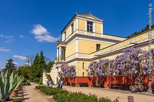 Gelbes Gebäude mit blühenden Glyzinien und Spaziergängern vor blauem Himmel im Park.
