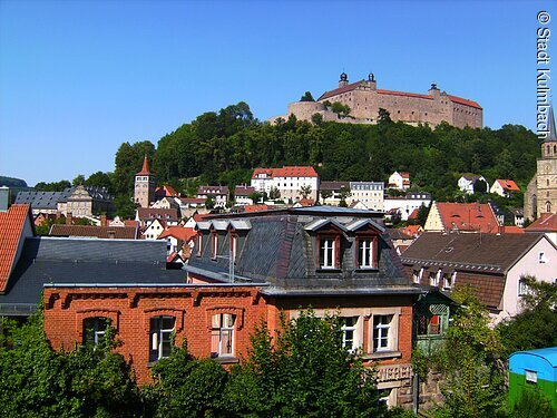 Blick auf eine Stadt mit roten Ziegeldächern, Bäumen und einer Burg auf einem bewaldeten Hügel im Hintergrund.