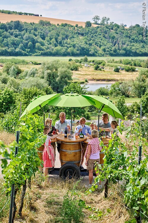 Sechs Personen sitzen an einem runden Holztisch mit grünen Sonnenschirmen in einem Weinberg.