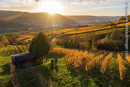Bürgstadt, near Miltenberg, Spessart-Mainland, Franconia, Bavaria, Germany