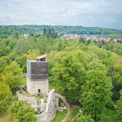 Burgruine mit Turm und umgebender Mauer in einem bewaldeten Gebiet nahe eines Dorfes unter bewölktem Himmel.
