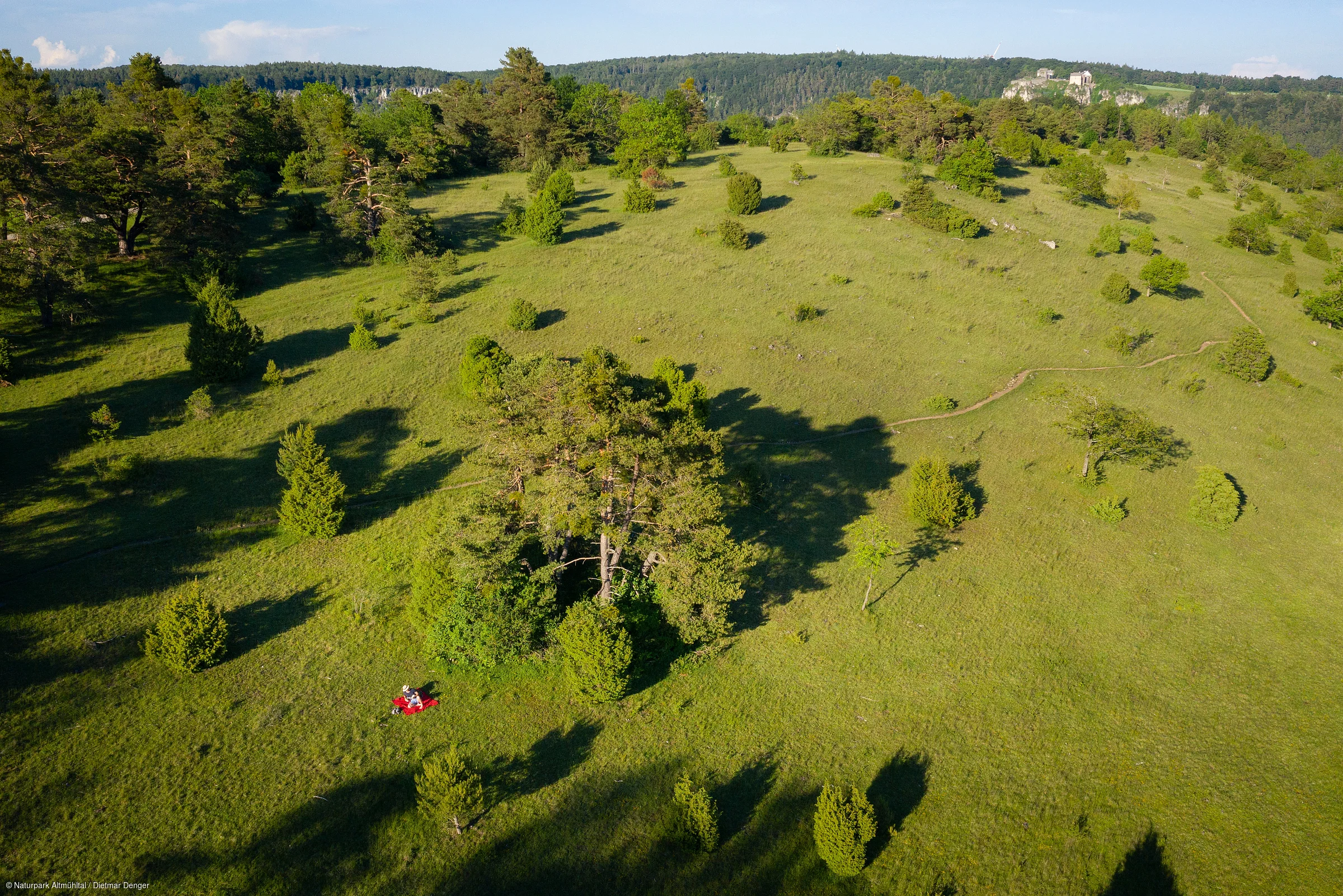 Grüne Hügellandschaft mit vereinzelten Bäumen und einem roten Picknicktuch im Vordergrund.