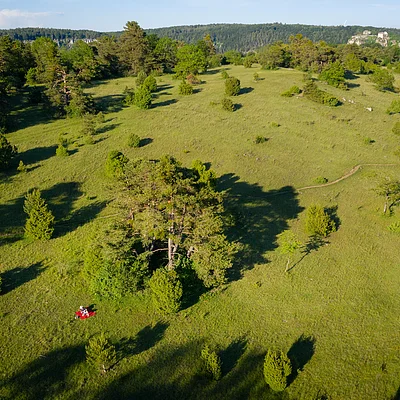 Grüne Hügellandschaft mit vereinzelten Bäumen und einem roten Picknicktuch im Vordergrund.