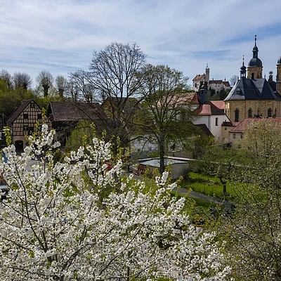 Blick auf ein Dorf mit blühenden Bäumen, Fachwerkhäusern und einer Kirche mit zwei Türmen.