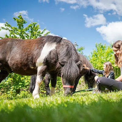 Zwei Mädchen sitzen auf einer Wiese und streicheln zwei grasende Ponys bei sonnigem Himmel.