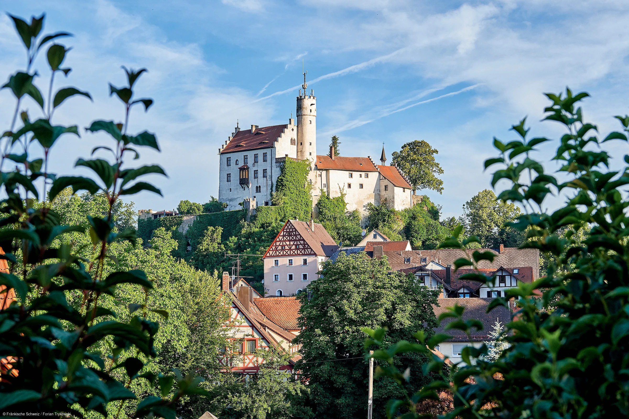 Burg auf bewaldetem Hügel mit Fachwerkhäusern und blauem Himmel, von Blättern im Vordergrund umrahmt.