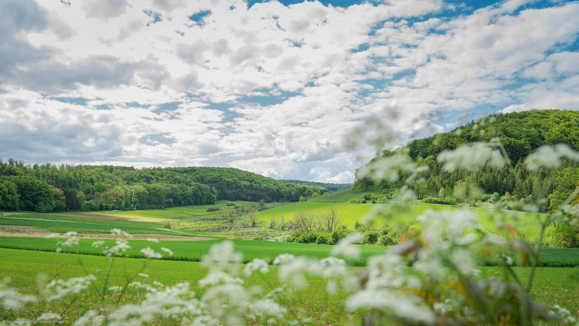 Grüne Wiesen und bewaldete Hügel unter einem bewölkten Himmel, im Vordergrund unscharfe weiße Blüten.