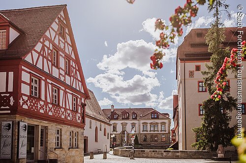 Historische Fachwerkhäuser und ein Baum mit roten Blüten an einem sonnigen Tag mit Wolken am Himmel.