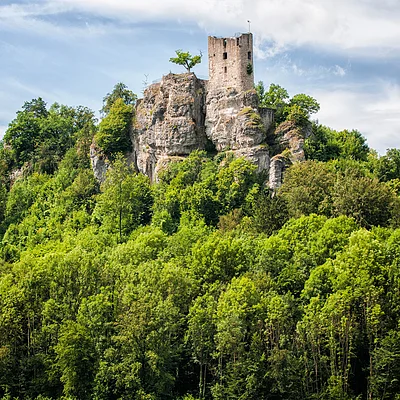 Burgruine auf einem bewaldeten Felsen unter bewölktem Himmel, umgeben von grünen Bäumen.