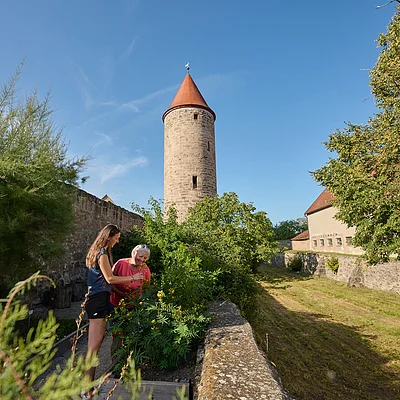 Zwei Frauen pflücken Pflanzen an einer alten Steinmauer mit rundem Turm und Bäumen bei klarem Himmel.