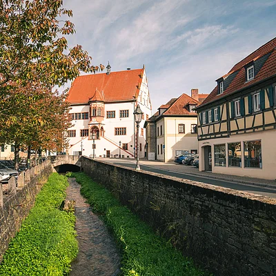 Blick auf einen kleinen Fluss mit grünen Uferpflanzen, umgeben von historischen Fachwerkhäusern und Bäumen.