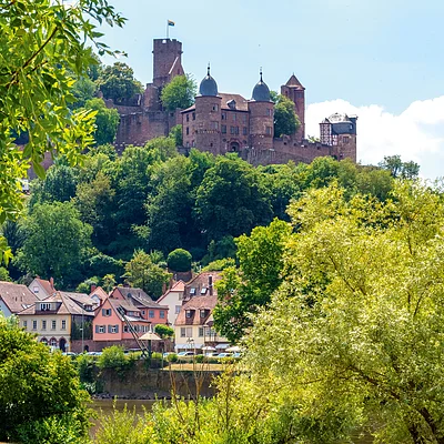 Burg auf bewaldetem Hügel mit Fachwerkhäusern und Fluss im Vordergrund bei klarem Himmel.