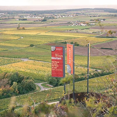 Blick auf Weinberge mit drei Fahnen, eine zeigt „Wein Welten“ und „terroir f“, im Hintergrund Felder und Häuser.