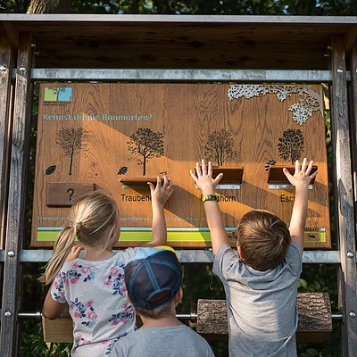 Drei Kinder stehen vor einem Holz-Infobrett mit Baumarten und heben die Hände zu den Klappen.