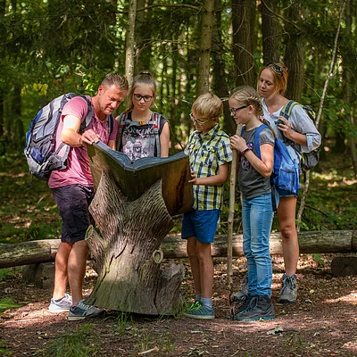 Fünf Personen mit Rucksäcken lesen eine große Holztafel im Wald auf einem Wanderweg.