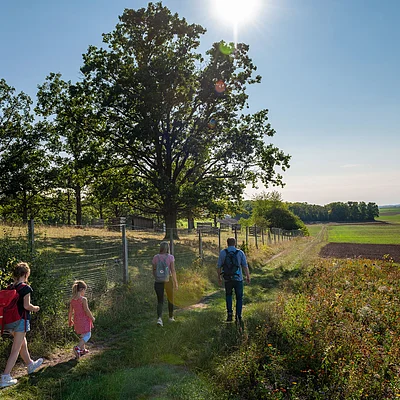 Vier Personen wandern auf einem Feldweg neben einer Wiese und Bäumen bei Sonnenschein.