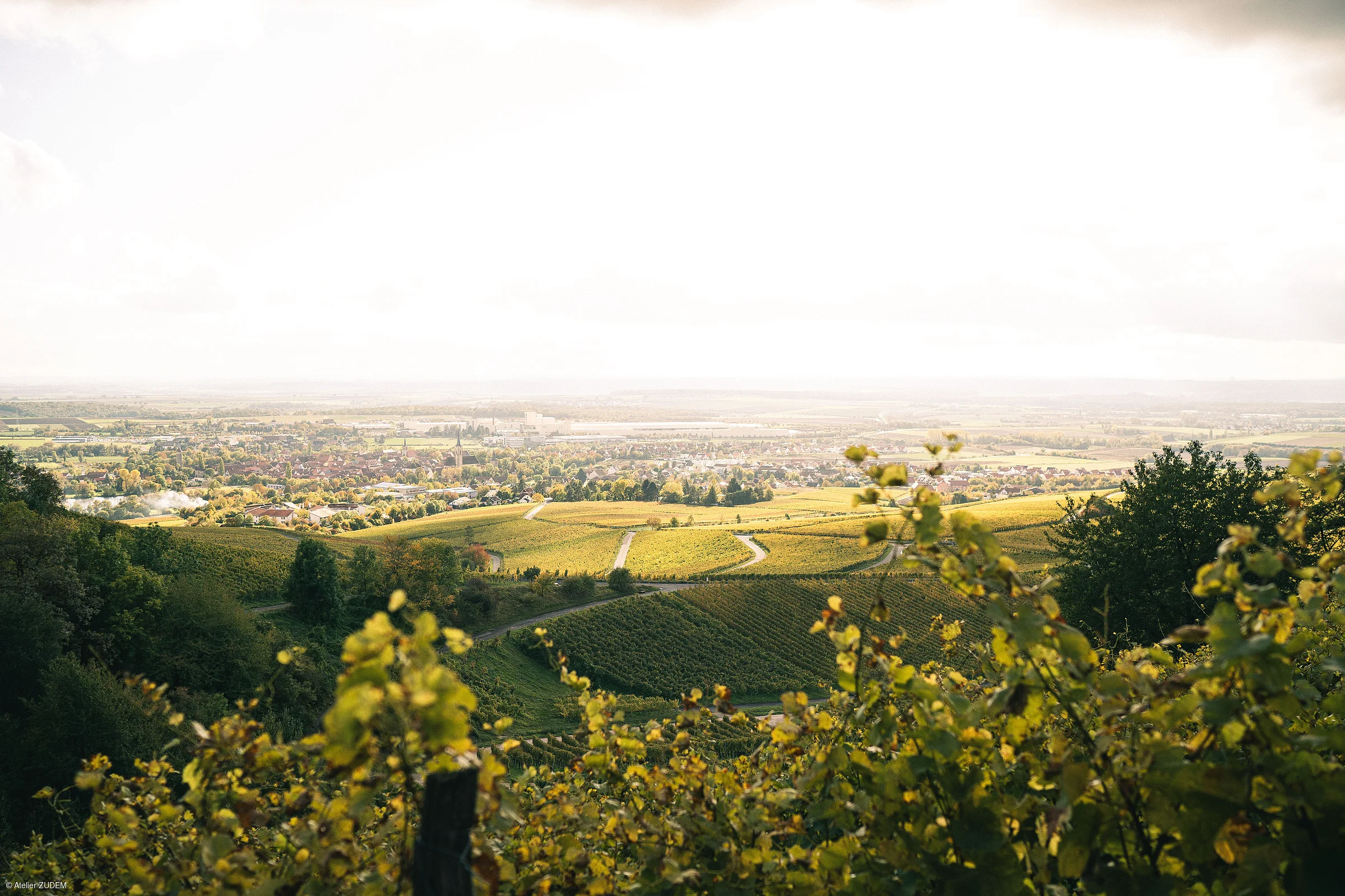 Blick über grüne Weinberge auf ein Dorf und weite Felder unter hellem Himmel im Hintergrund.