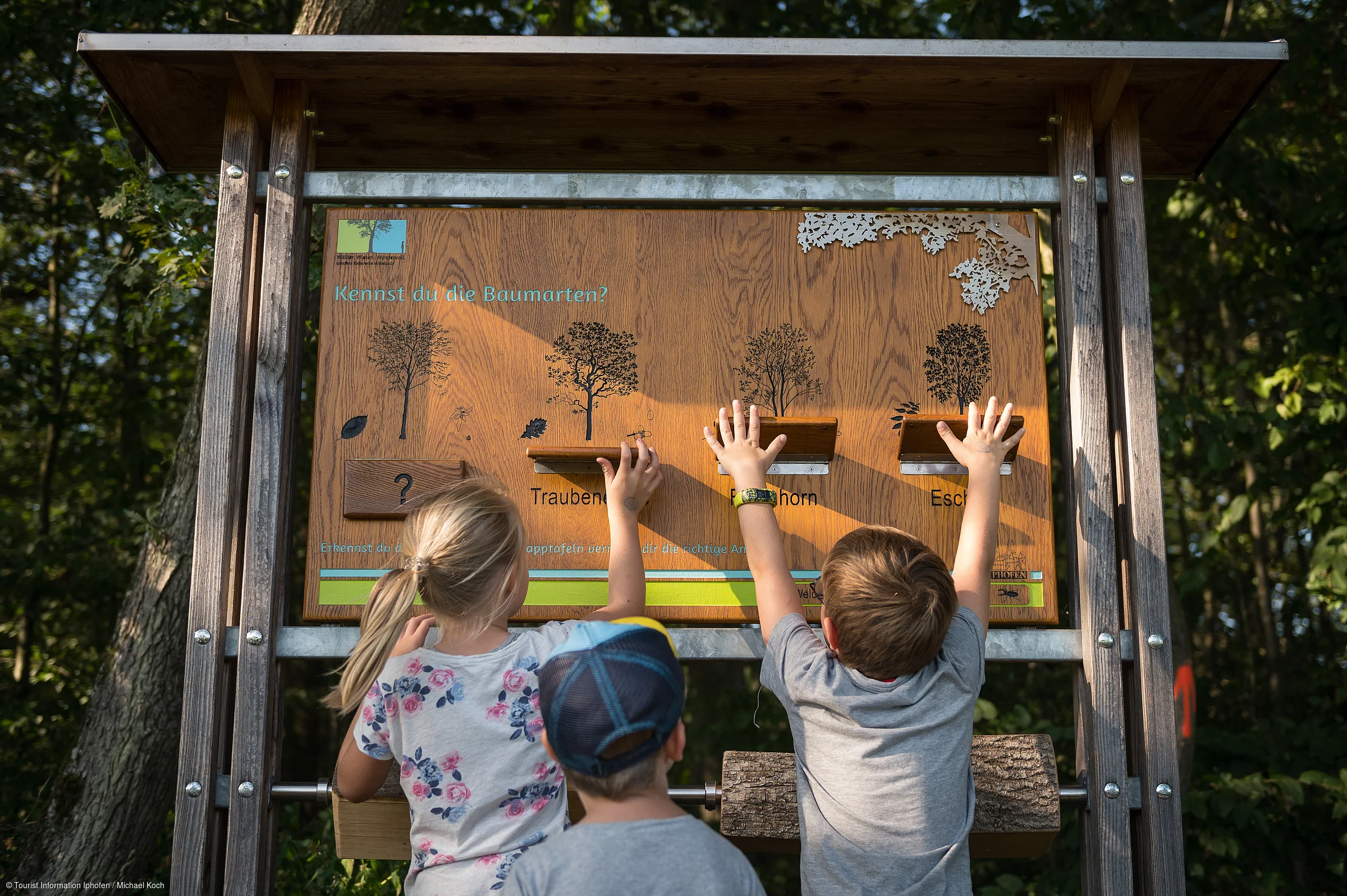 Drei Kinder stehen vor einem Holz-Infobrett mit Baumarten und heben die Hände zu den Klappen.