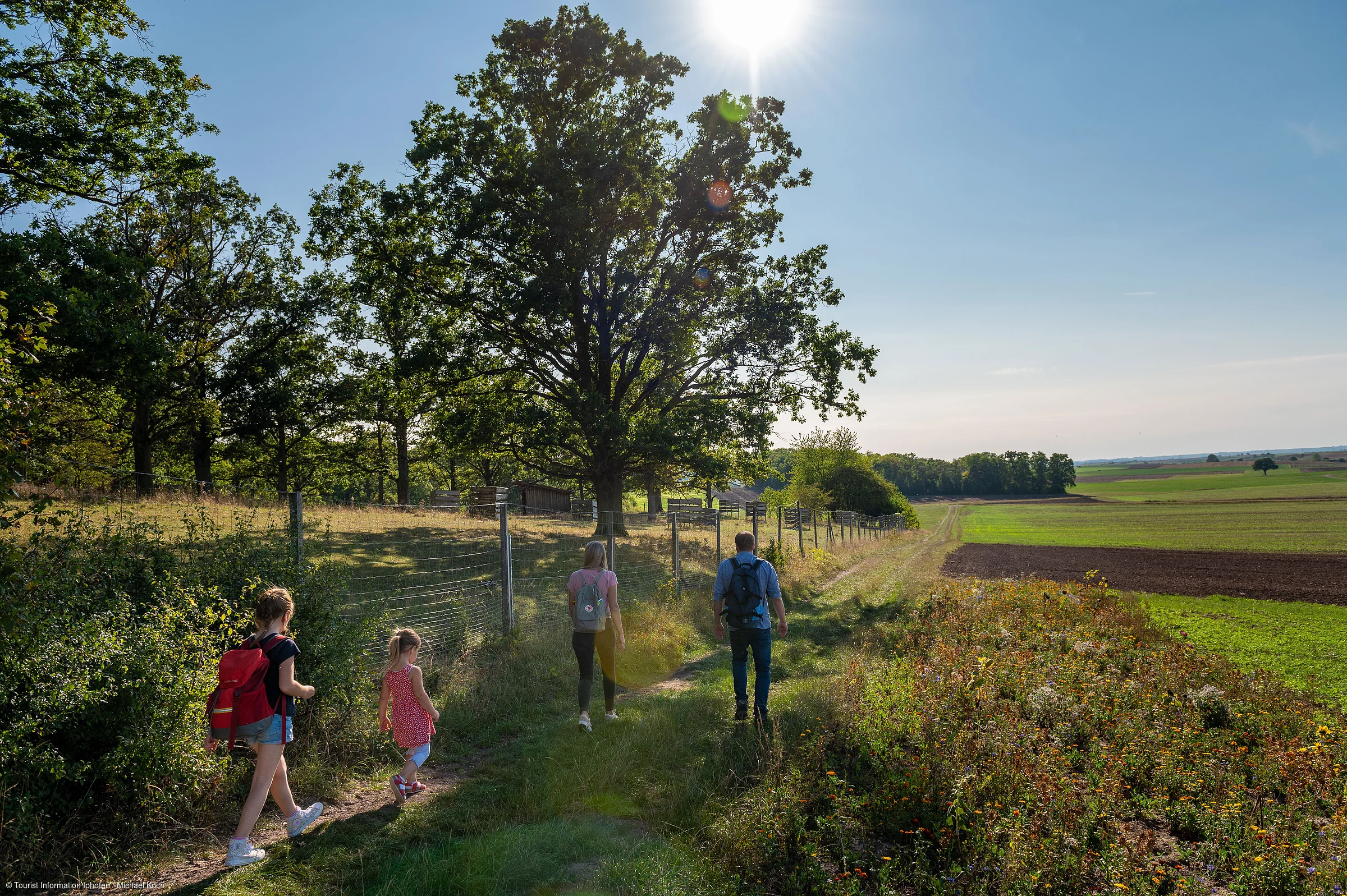 Vier Personen wandern auf einem Feldweg neben einer Wiese und Bäumen bei Sonnenschein.