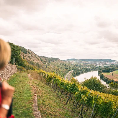 Blick über Weinberg mit Fluss und Feldern, unscharfe Personen im Vordergrund links sichtbar.