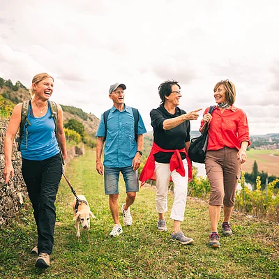 Vier Personen wandern auf einem Weg neben einer Steinmauer, eine Frau führt einen Hund an der Leine.