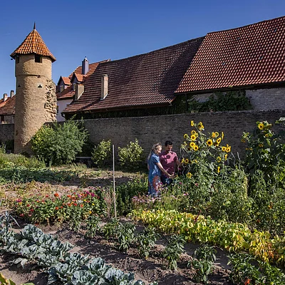 Paar steht in einem Garten mit Sonnenblumen vor einer alten Stadtmauer und einem runden Turm bei klarem Himmel.
