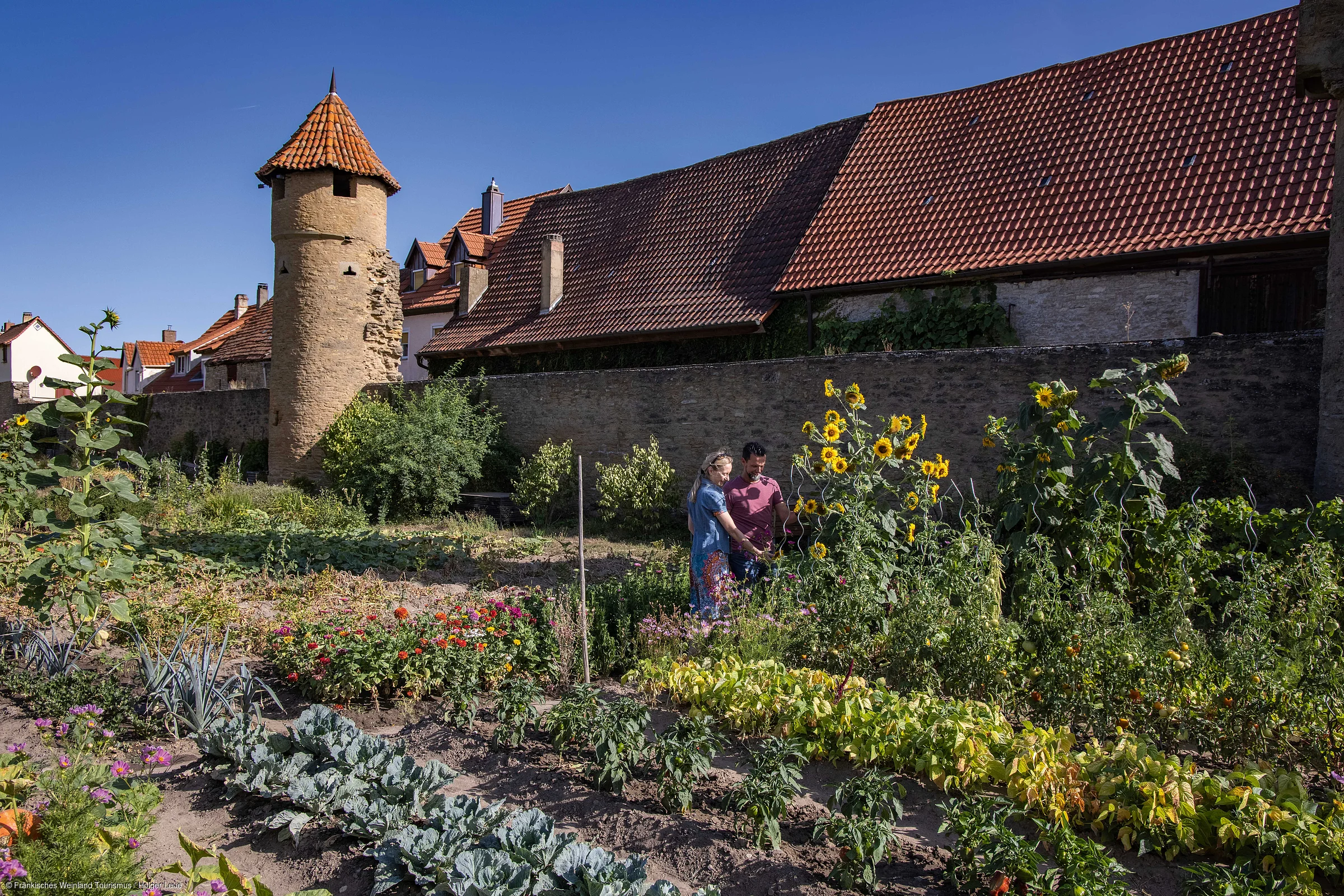 Paar steht in einem Garten mit Sonnenblumen vor einer alten Stadtmauer und einem runden Turm bei klarem Himmel.