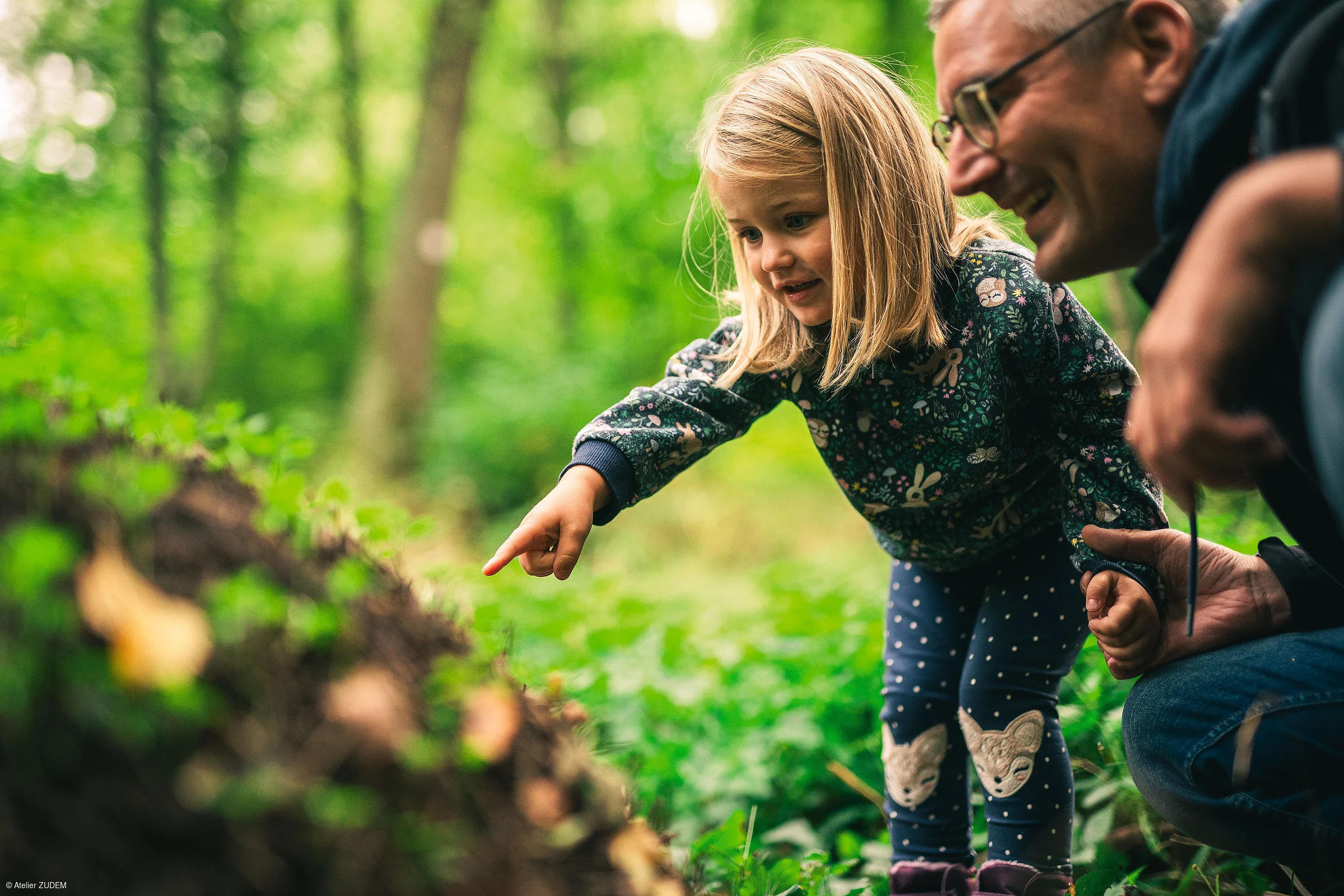 Kind zeigt im Wald auf etwas am Boden, neben ihr hockt ein Mann und hält ihre Hand.