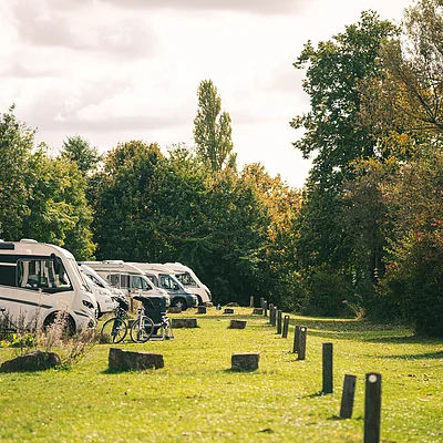 Wohnmobile und Fahrräder auf einer grünen Wiese neben Bäumen unter bewölktem Himmel.