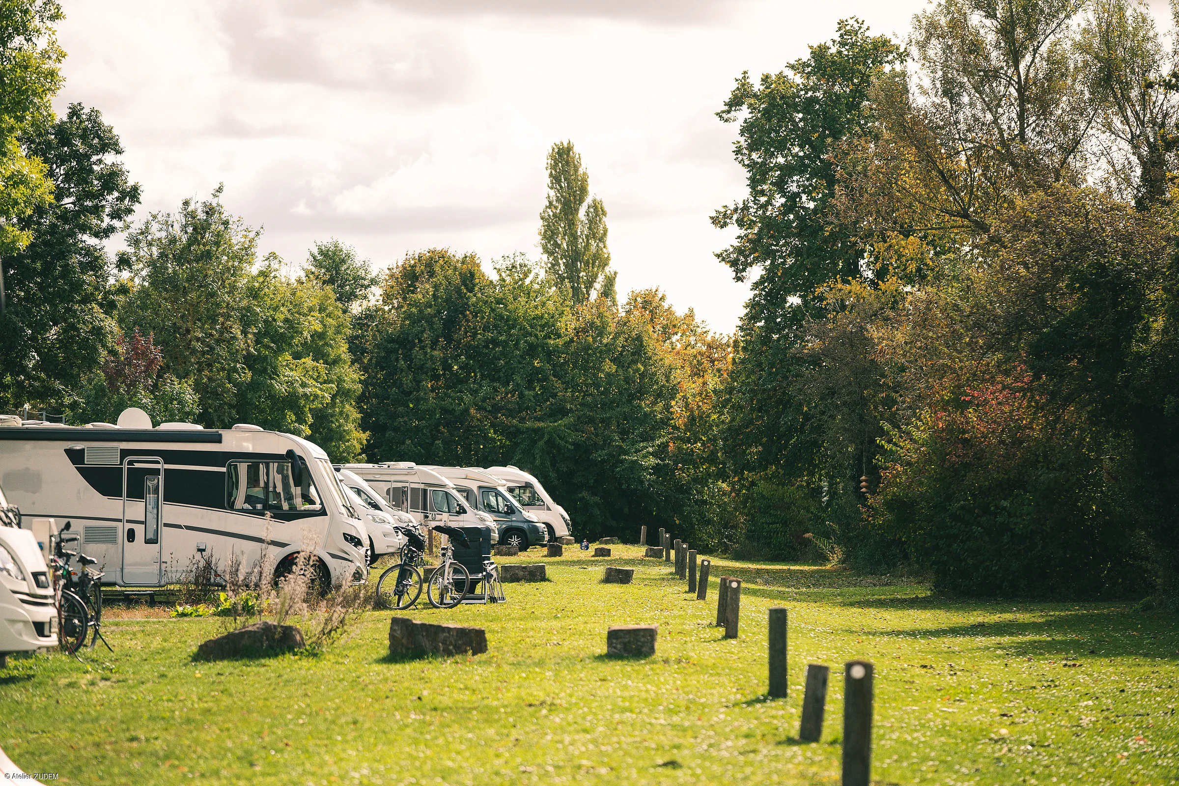 Wohnmobile und Fahrräder auf einer grünen Wiese neben Bäumen unter bewölktem Himmel.