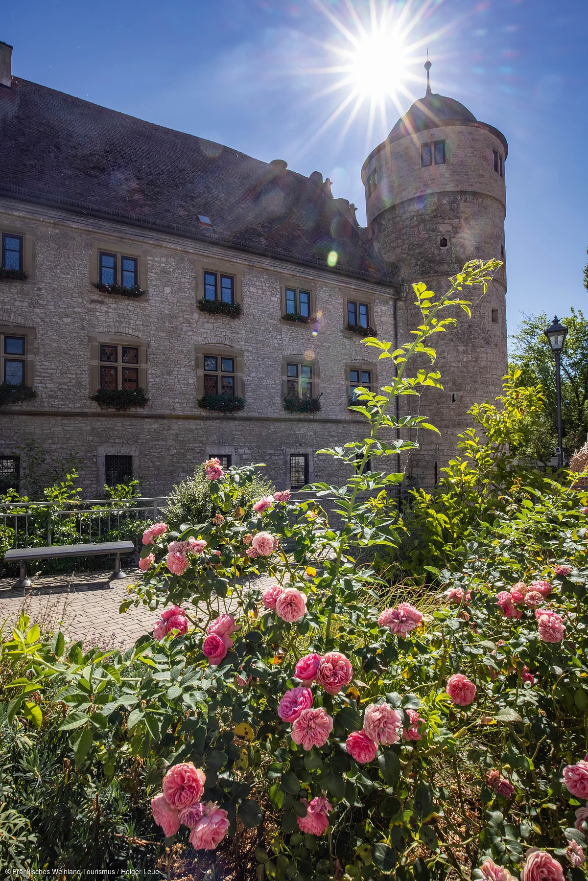 Steinernes Gebäude mit Turm, davor blühende Rosen und Sonne am blauen Himmel.