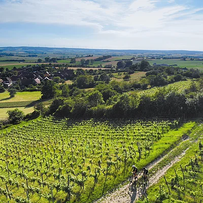 Zwei Radfahrer auf Weg durch grüne Weinberge mit Dorf und Hügeln im Hintergrund unter blauem Himmel.