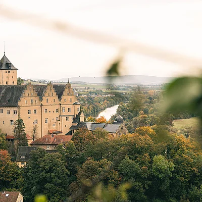 Blick auf ein Schloss mit Turm, umgeben von Bäumen und einem Fluss im Hintergrund, im Herbst.