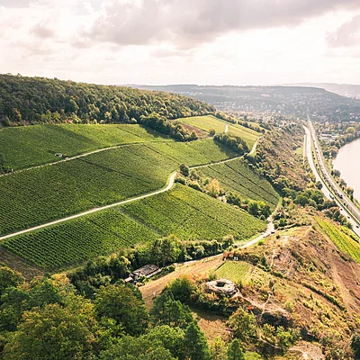 Blick auf grüne Weinberge, einen Fluss und eine Straße mit Fahrzeugen an einem bewölkten Tag.