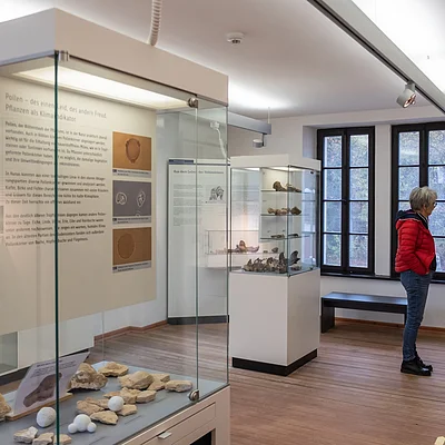 Museumsausstellung mit Vitrinen, Exponaten und zwei Personen im Gespräch vor Fenstern in einem Raum mit Holzboden.