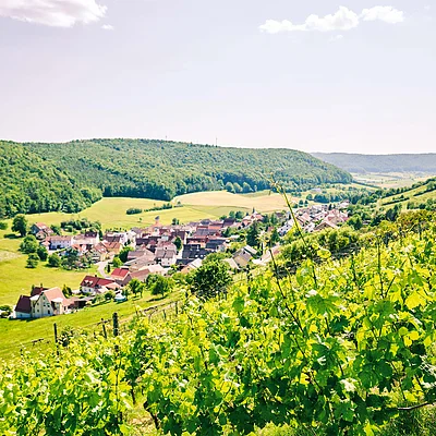 Weinreben an einem Hang mit Blick auf ein Dorf und bewaldete Hügel im Hintergrund unter blauem Himmel