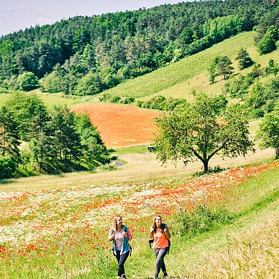 Wandern auf dem Thulba-Saaletal Panoramaweg