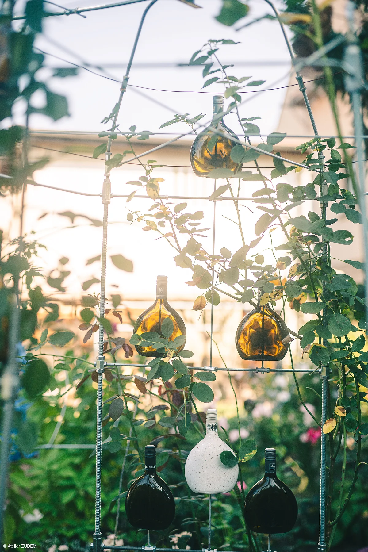 Metallgestell mit fünf Flaschen, umrankt von grünen Pflanzen und Blättern, im Garten bei Tageslicht.