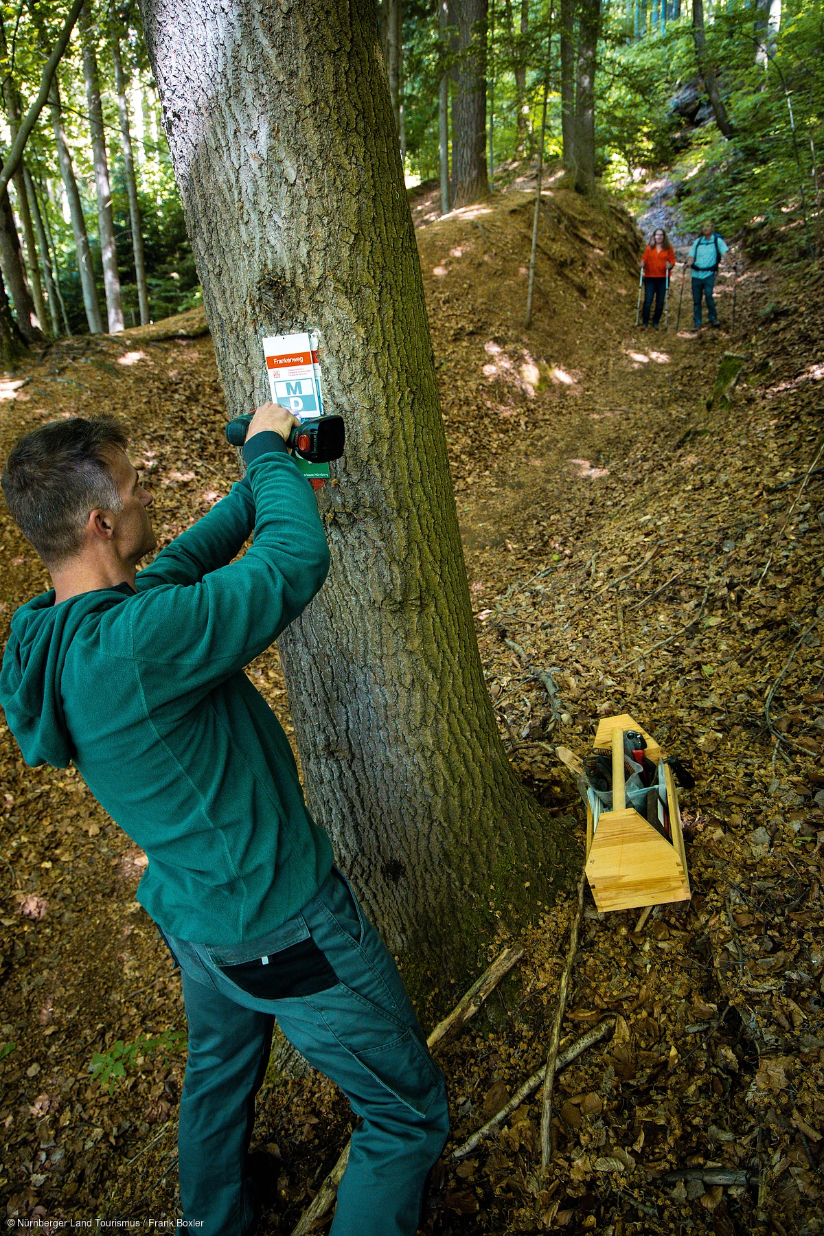 Mann befestigt mit Akkuschrauber ein Schild an einem Baum, zwei Wanderer mit Stöcken auf Waldweg im Hintergrund.