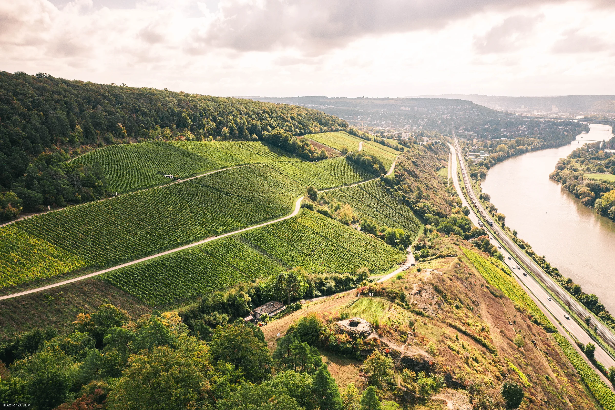 Blick auf grüne Weinberge, einen Fluss und eine Straße mit Fahrzeugen an einem bewölkten Tag.