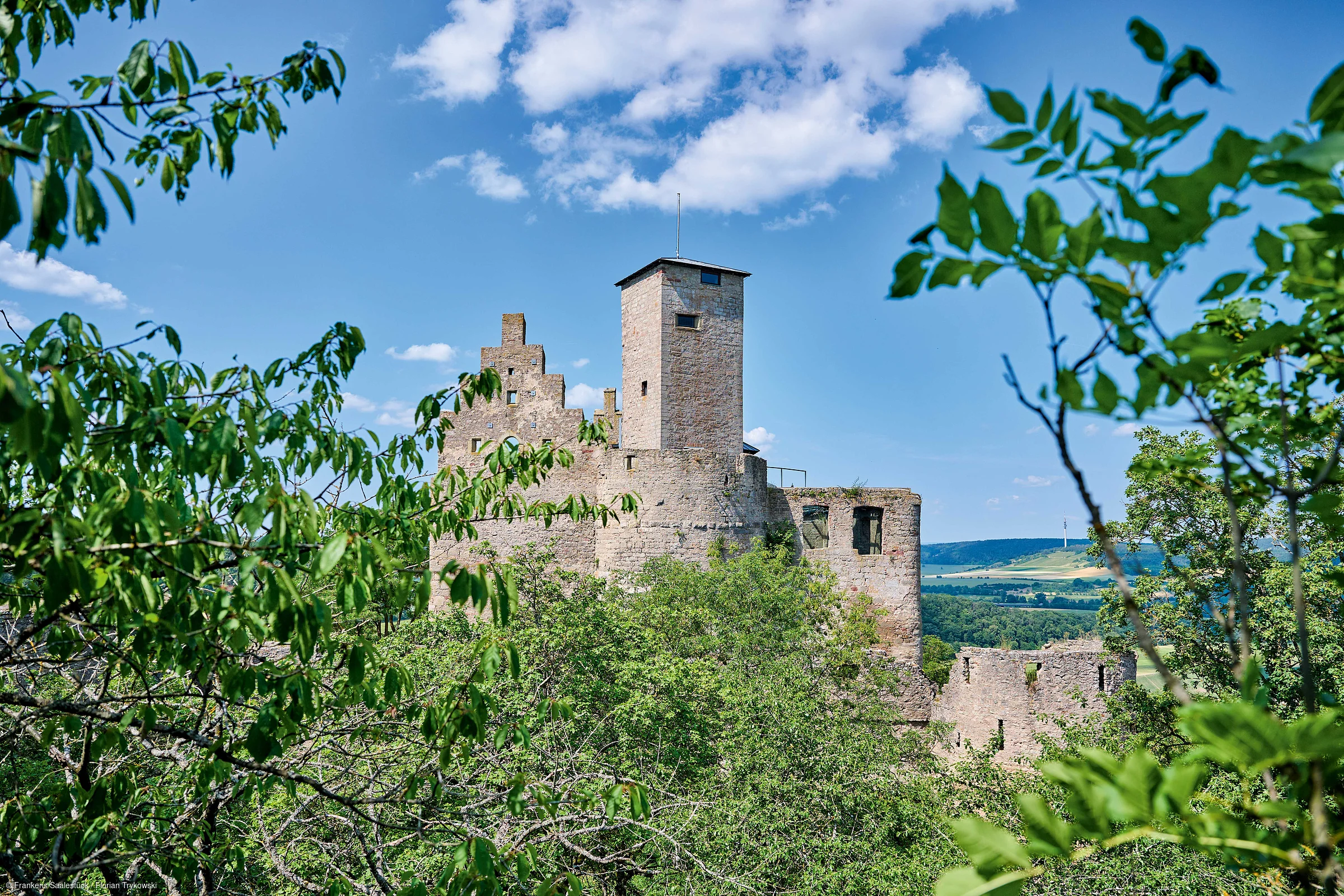 Burgruine mit Turm hinter grünen Bäumen unter blauem Himmel mit Wolken.