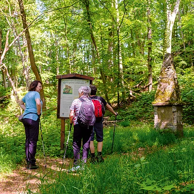 Drei Wanderer mit Rucksäcken lesen eine Infotafel im grünen Wald auf einem schmalen Weg.
