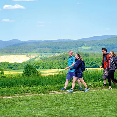 Vier Personen wandern auf einem Pfad in grüner Landschaft mit Bergen im Hintergrund bei klarem Himmel.
